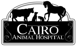 2014 Veterinarian of the Year: Cairo Animal Hospital